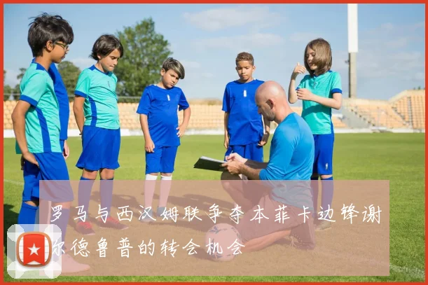 罗马与西汉姆联争夺本菲卡边锋谢尔德鲁普的转会机会