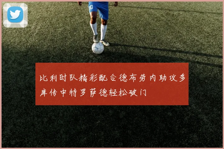 比利时队精彩配合德布劳内助攻多库传中特罗萨德轻松破门