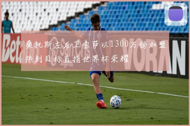 桑托斯左后卫索萨以1300万镑加盟热刺目标直指世界杯荣耀
